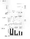 Fig. 07 - Bystander immune suppression as a predictor for response to a vaccine