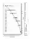 Fig. 06 - Compositions comprising anti-CD38 antibodies and lenalidomide