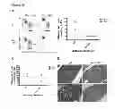 Fig. 45 - Methods of Treating Acute Myeloid Leukemia by Blocking CD47