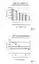 Fig. 08 - COMPOSITIONS AND METHODS FOR TREATING CANCER