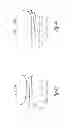 Fig. 19 - COMPOSITIONS AND METHODS FOR TREATING CANCER