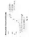 Fig. 22 - BCMA antigen binding proteins