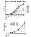 Fig. 33 - BCMA antigen binding proteins
