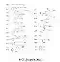 Fig. 06 - Amine-containing lipidoids and uses thereof