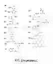Fig. 09 - Amine-containing lipidoids and uses thereof