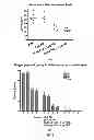 Fig. 07 - Carious tooth vaccine and preparation method