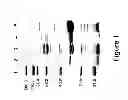 Fig. 02 - spp. polypeptides and methods of use