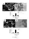 Fig. 02 - NANOPARTICLE DENTAL COMPOSITION AND METHOD OF MAKING
