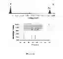 Fig. 04 - NANOPARTICLE DENTAL COMPOSITION AND METHOD OF MAKING