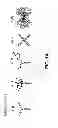 Fig. 02 - Multigraft copolymers as superelastomers