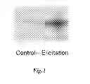 Fig. 02 - Process of preparation and uses of plasma membrane vesicles extracted from plants enriched in membrane transport proteins