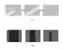 Fig. 06 - Process of preparation and uses of plasma membrane vesicles extracted from plants enriched in membrane transport proteins