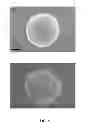 Fig. 06 - Mineral-coated microspheres