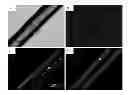Fig. 01 - Nanoparticles comprising esters of poly (methyl vinyl ether-co-maleic anhydride) and uses thereof