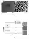 Fig. 02 - Nanoparticles comprising esters of poly (methyl vinyl ether-co-maleic anhydride) and uses thereof