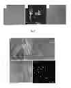 Fig. 06 - Nanoparticles comprising esters of poly (methyl vinyl ether-co-maleic anhydride) and uses thereof
