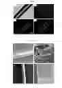 Fig. 09 - Nanoparticles comprising esters of poly (methyl vinyl ether-co-maleic anhydride) and uses thereof