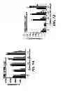 Fig. 09 - POLYMER BLEND PARTICLES FOR INTRACELLULAR DELIVERY OF AGENTS