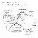 Fig. 02 - METHODS TO REDUCE ADVERSE EVENTS CAUSED BY PHARMACEUTICAL PREPARATIONS COMPRISING PLASMA DERIVED PROTEINS