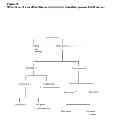 Fig. 04 - METHODS TO REDUCE ADVERSE EVENTS CAUSED BY PHARMACEUTICAL PREPARATIONS COMPRISING PLASMA DERIVED PROTEINS