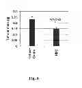 Fig. 07 - Chroman derivatives, medicaments and use in therapy