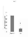 Fig. 02 - Use of Nesprin-2 Expression Modulators and Compositions Thereof