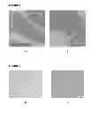 Fig. 02 - Food-grade encapsulate and process for the production thereof