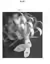Fig. 07 - Decorative flowers and methods of making and using the same