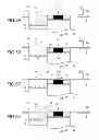 Fig. 06 - MOLDED ARTICLE PRODUCING METHOD AND MOLDED ARTICLE