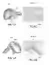 Fig. 12 - MOLDED ARTICLE PRODUCING METHOD AND MOLDED ARTICLE
