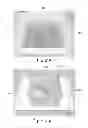 Fig. 19 - MOLDED ARTICLE PRODUCING METHOD AND MOLDED ARTICLE
