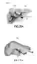 Fig. 23 - MOLDED ARTICLE PRODUCING METHOD AND MOLDED ARTICLE