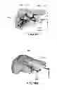 Fig. 24 - MOLDED ARTICLE PRODUCING METHOD AND MOLDED ARTICLE