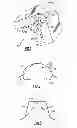 Fig. 02 - MOLDED POLYMERIC ARTICLE