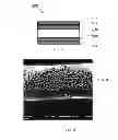 Fig. 04 - Articles including untwisted fibers and methods of using them