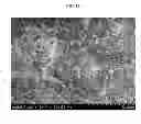 Fig. 04 - Structural coatings with dewetting and anti-icing properties, and coating precursors for fabricating same