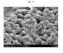 Fig. 08 - Structural coatings with dewetting and anti-icing properties, and coating precursors for fabricating same