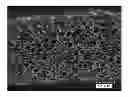 Fig. 01 - Polyester elastomer foam