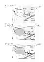 Fig. 33 - Systems and methods for multiple analyte detection