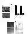 Fig. 02 - Methods for diagnosing bone or cardiovascular disorders