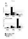Fig. 09 - Methods for diagnosing bone or cardiovascular disorders