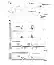Fig. 05 - Optical analysis device, optical analysis method and computer program for optical analysis using single light-emitting particle detection