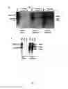 Fig. 02 - Methods of detecting long range chromosomal interactions