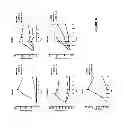 Fig. 07 - METHODS FOR DETECTING NEUTRALIZING ANTIBODIES FOR BONE MORPHOGENETIC PROTEINS