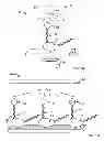 Fig. 02 - Rotation-dependent transcriptional sequencing systems and methods of using