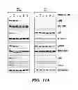 Fig. 22 - METHOD FOR PREDICTING RESPONSIVENESS TO DRUGS