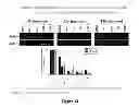 Fig. 19 - Methods for determining drug efficacy using cereblon-associated proteins