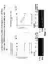 Fig. 20 - Methods for determining drug efficacy using cereblon-associated proteins