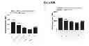 Fig. 35 - Methods for determining drug efficacy using cereblon-associated proteins