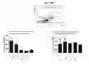 Fig. 40 - Methods for determining drug efficacy using cereblon-associated proteins